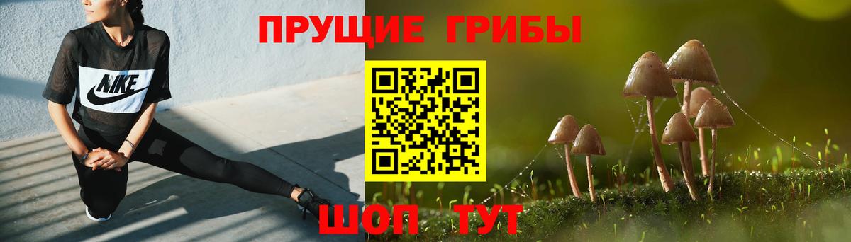 Псилоцибиновые грибы ЛСД Ейск